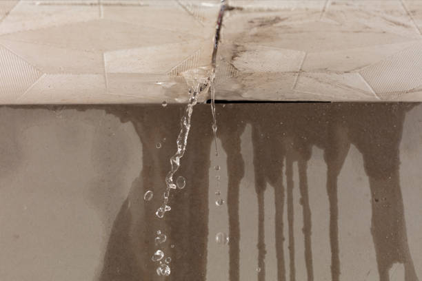 Professional Water Damage Repair technician working in Alvordton, OH